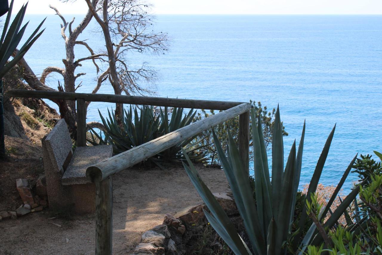 Apartamento A 100M De La Playa Tossa de Mar Exteriér fotografie