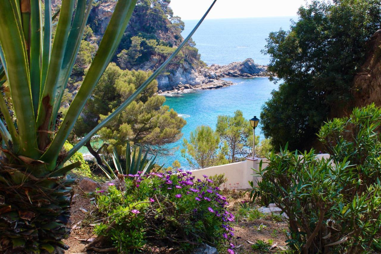 Apartamento A 100M De La Playa Tossa de Mar Exteriér fotografie